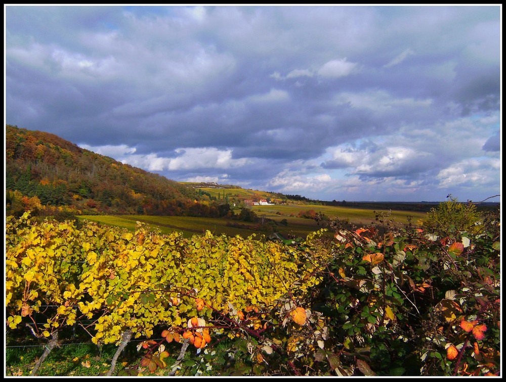 Herbstausblicke (..impessionen, Part drei)