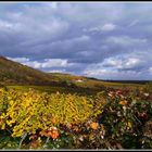 Herbstausblicke (..impessionen, Part drei)