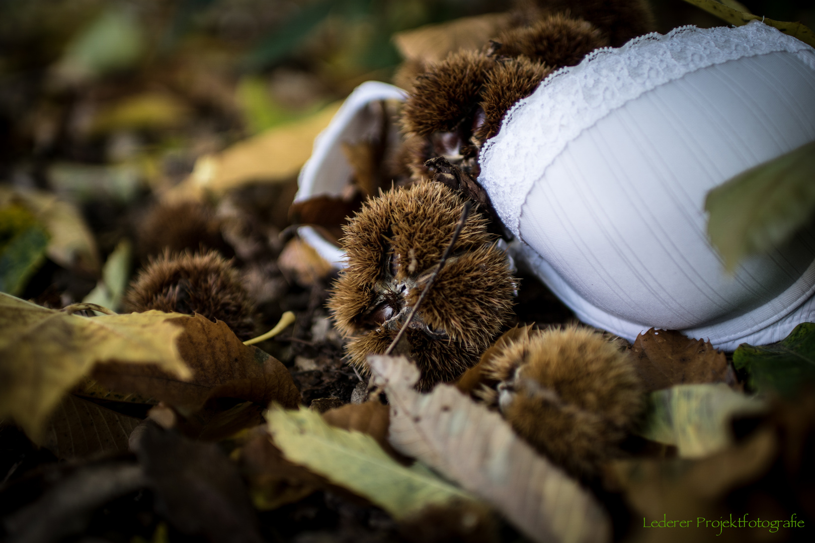 Herbstausflug...