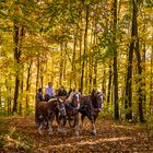 Herbstausflug