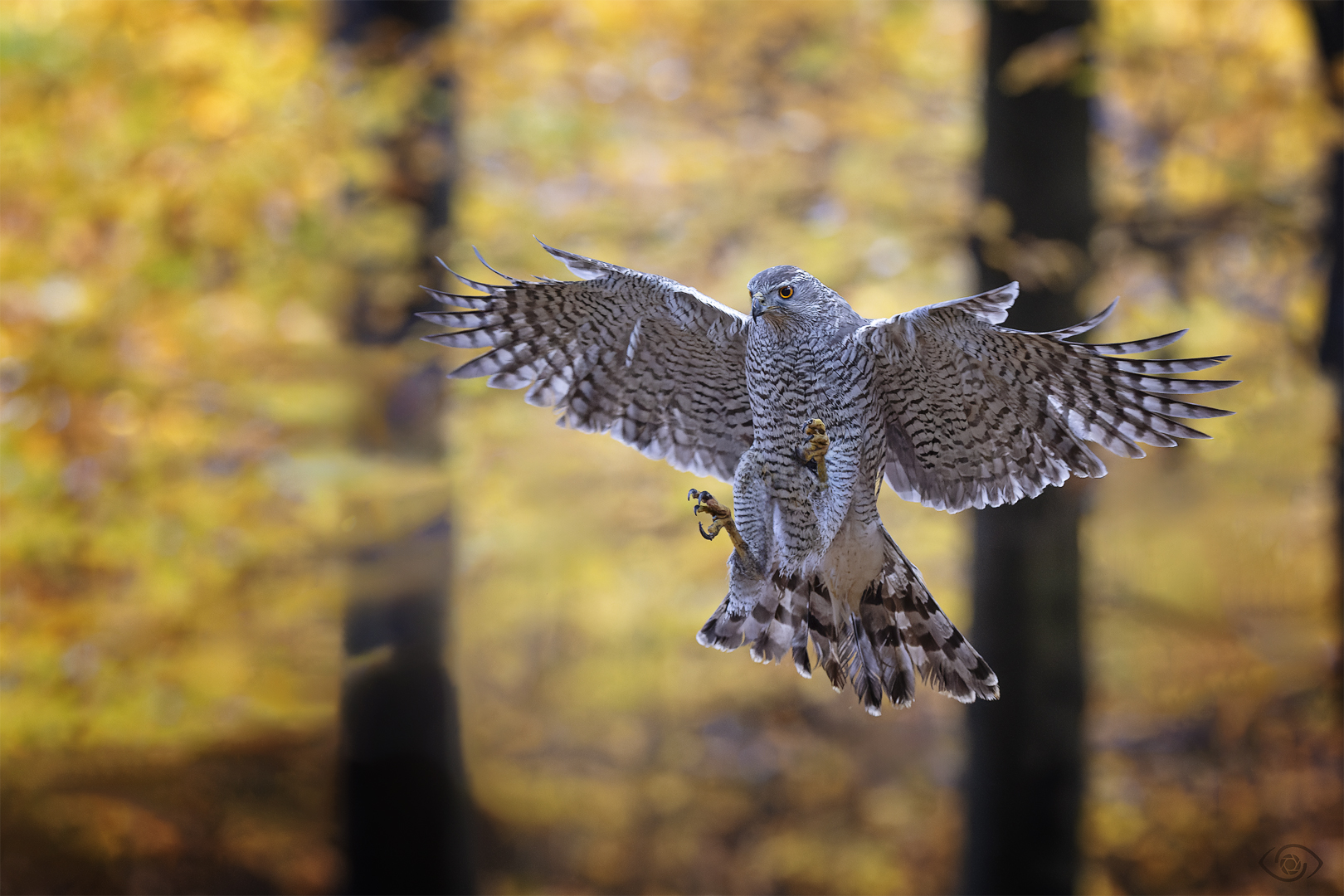 Herbstausflug