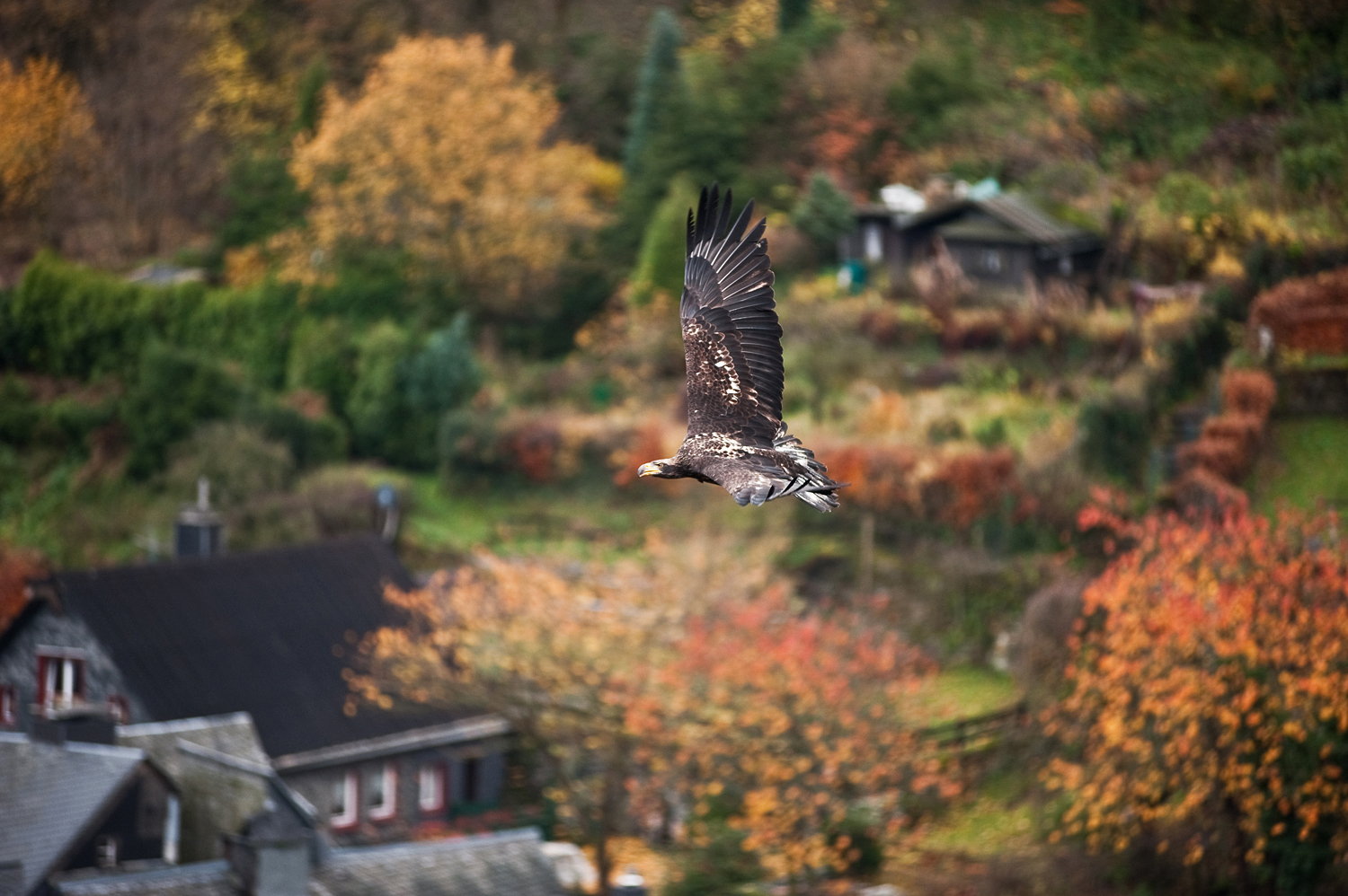 Herbstausflug