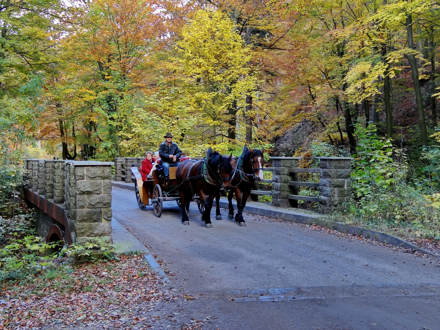 Herbstausflug