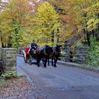 Herbstausflug