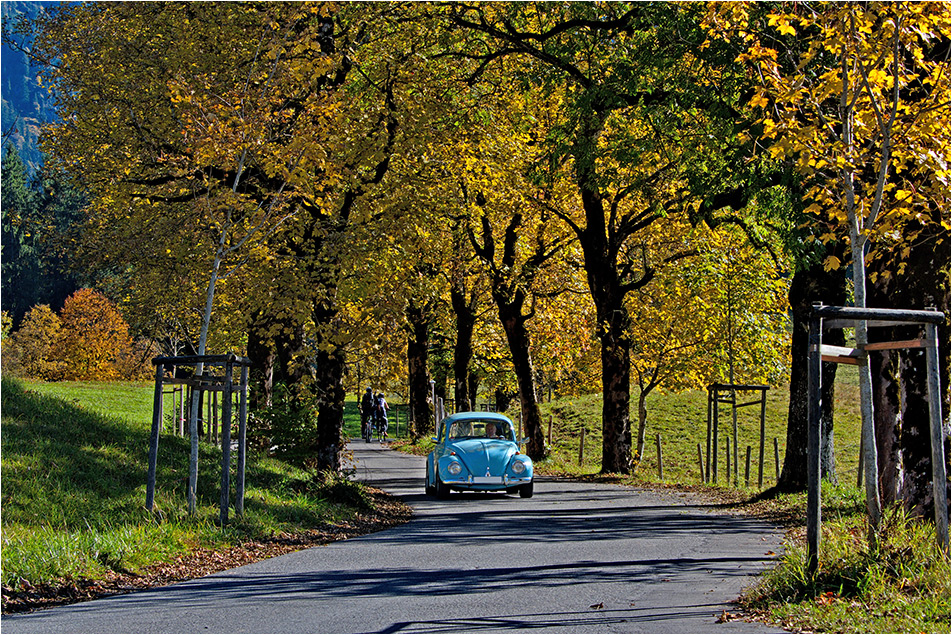 ~ Herbstausflug ~