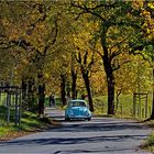 ~ Herbstausflug ~