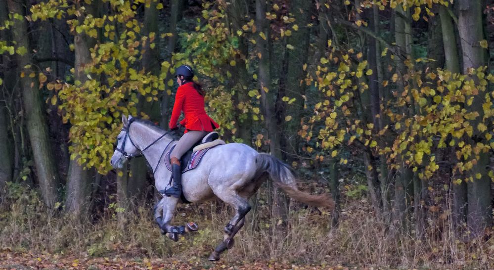 Herbstausflug