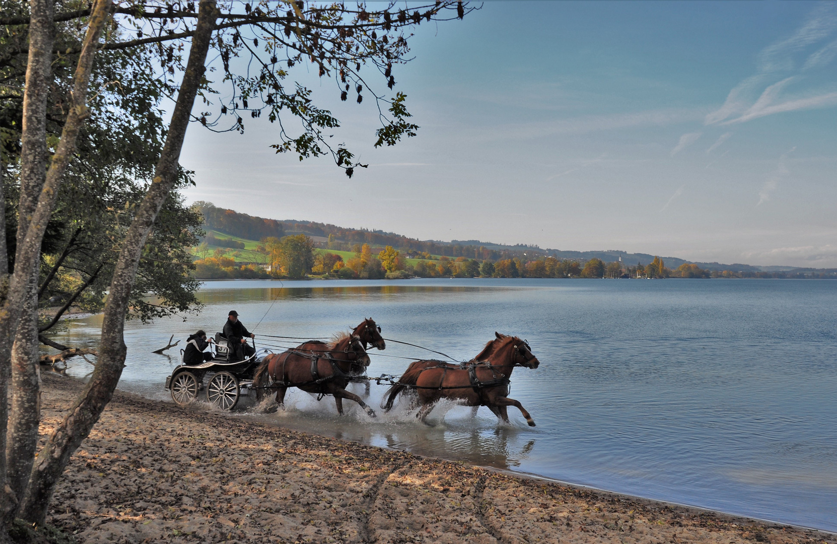 Herbstausflug der "Seepferde"