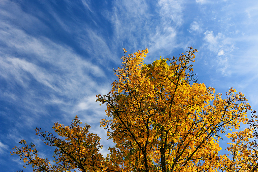 Herbstausflug