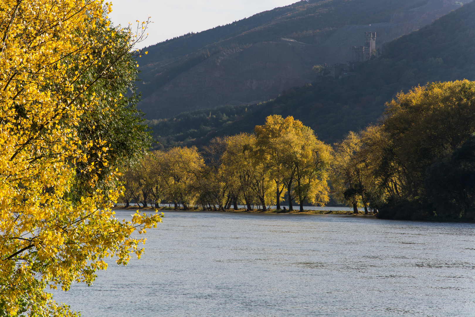 Herbstausflug in den Rheingau (2)