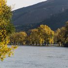 Herbstausflug in den Rheingau (2)