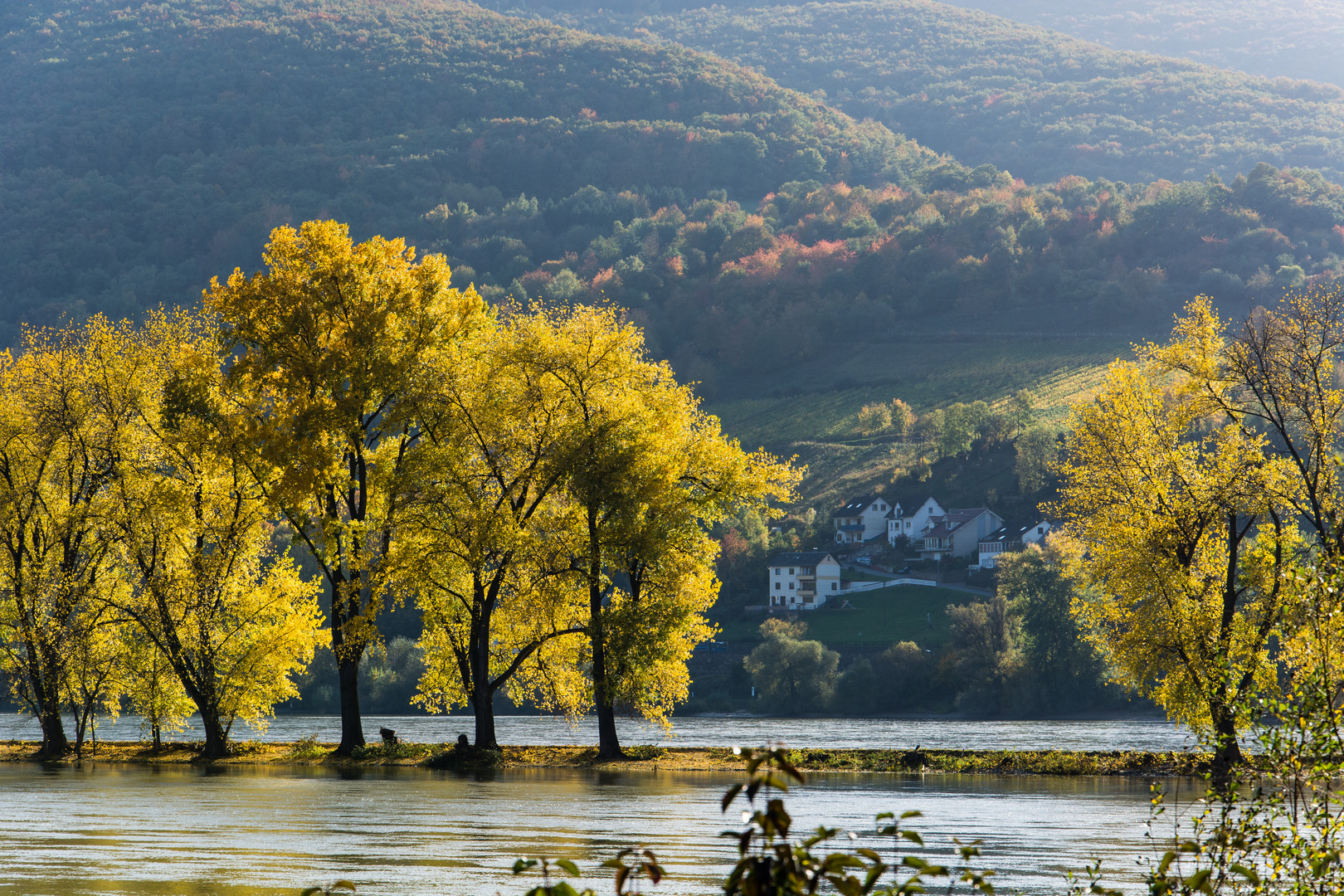 Herbstausflug in den Rheingau (6)