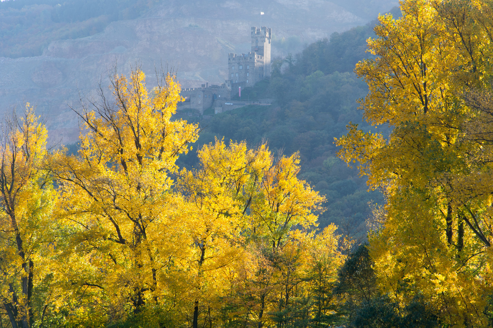 Herbstausflug in den Rheingau (7)