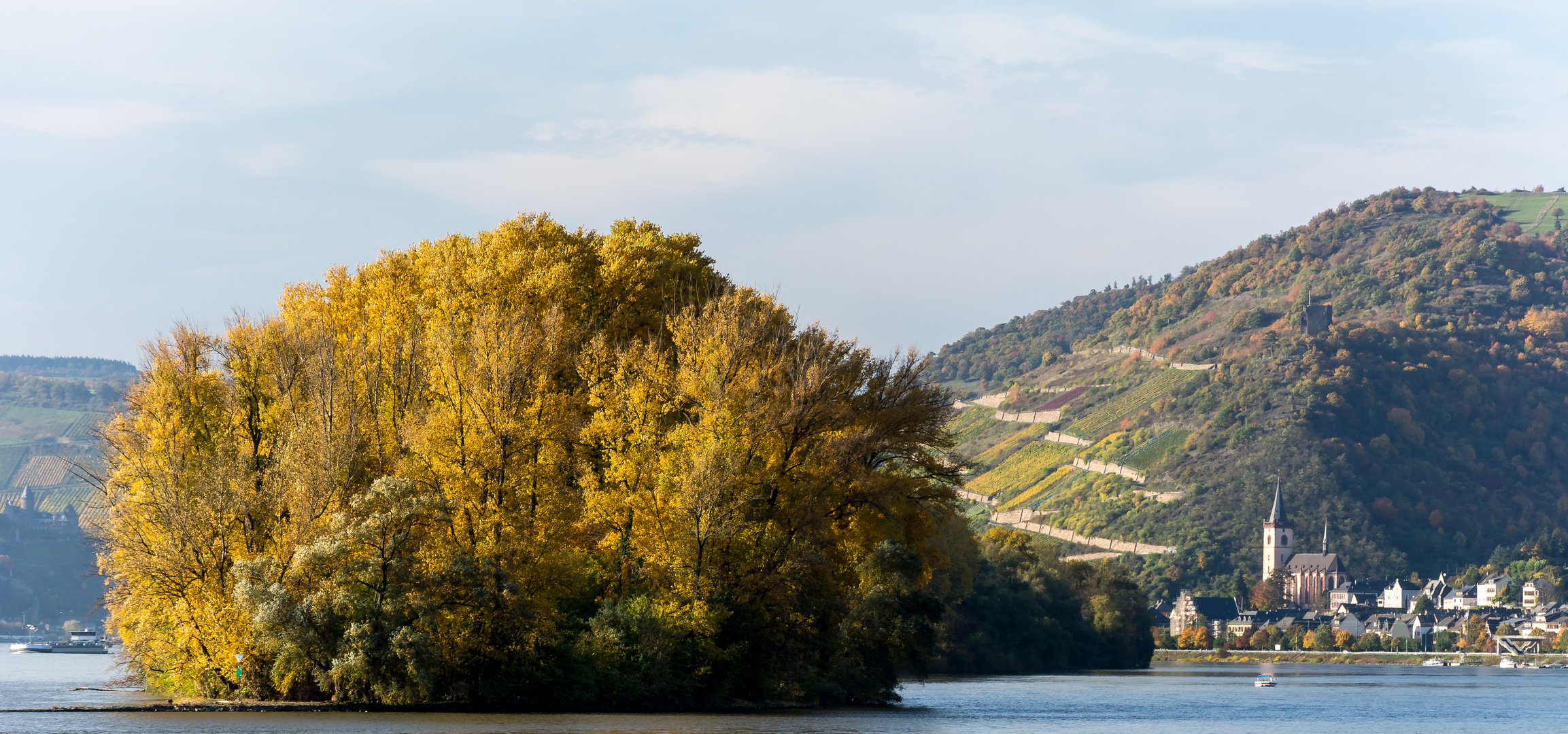 Herbstausflug in den Rheingau (8)