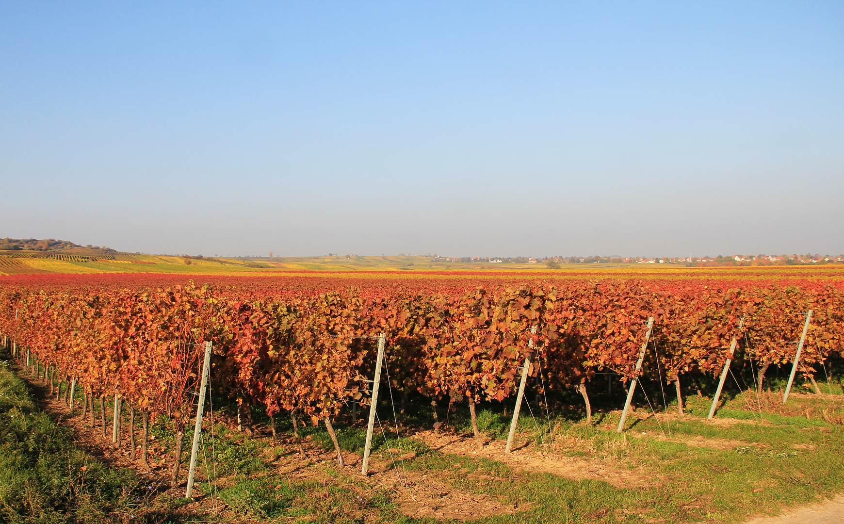 Herbstausflug in die Weinberge