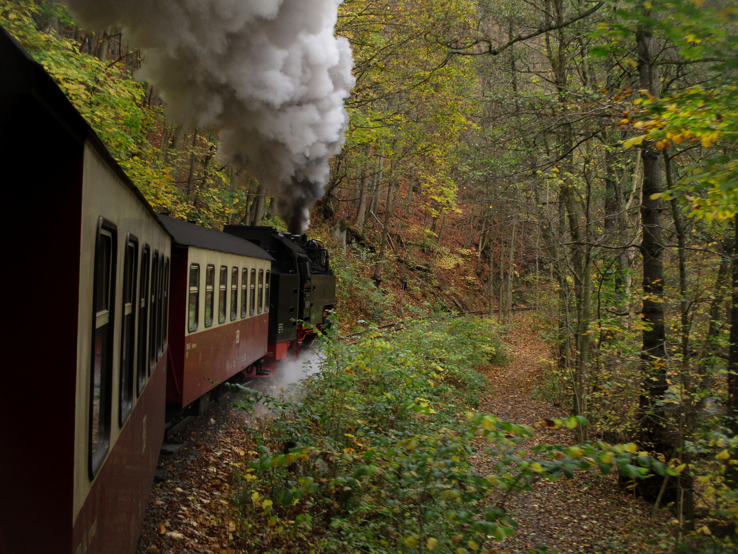 Herbstausflug mit der HSB ins Selketal 1.