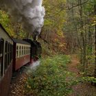 Herbstausflug mit der HSB ins Selketal 1.