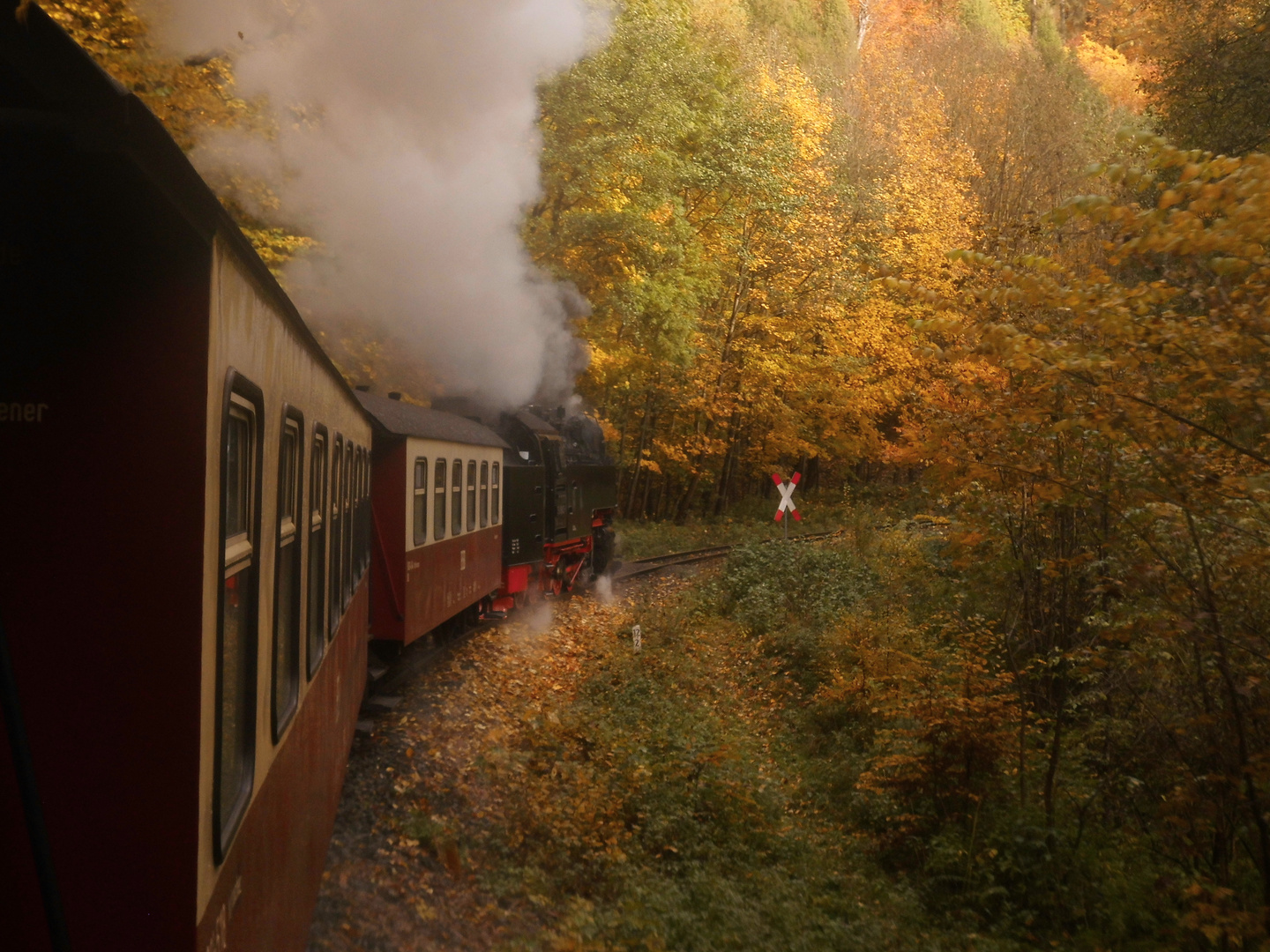 Herbstausflug mit der HSB ins Selketal 1.