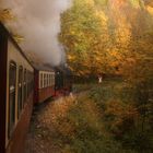 Herbstausflug mit der HSB ins Selketal 1.