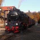 Herbstausflug mit der HSB ins Selketal 7.