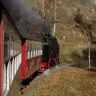 Herbstausflug mit der HSB nach Drei Annen Hohne 3.