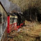 Herbstausflug mit der HSB nach Drei Annen Hohne 4.