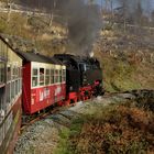 Herbstausflug mit der HSB nach Drei Annen Hohne 5.