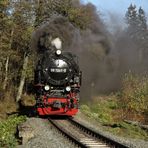 Herbstausflug mit der HSB nach Drei Annen Hohne 7.