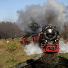 Herbstausflug mit der HSB nach Drei Annen Hohne 8.