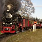 Herbstausflug mit der HSB nach Drei Annen Hohne 9.