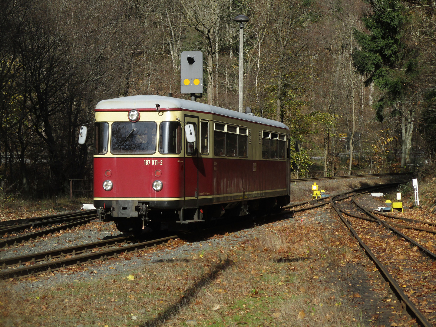 Herbstausflug mit der HSB nach Eisfelder Talmühle 1.