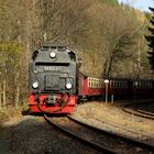 Herbstausflug mit der HSB nach Eisfelder Talmühle 3.