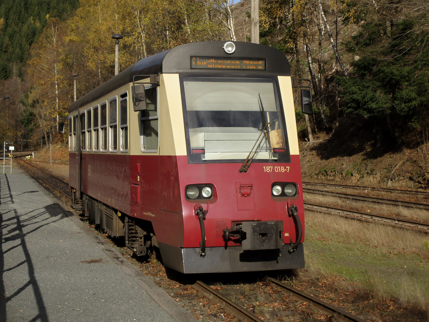 Herbstausflug mit der HSB nach Eisfelder Talmühle 4.