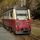 Herbstausflug mit der HSB nach Eisfelder Talmühle 4.