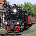 Herbstausflug mit der HSB zurück nach Nordhausen 1.