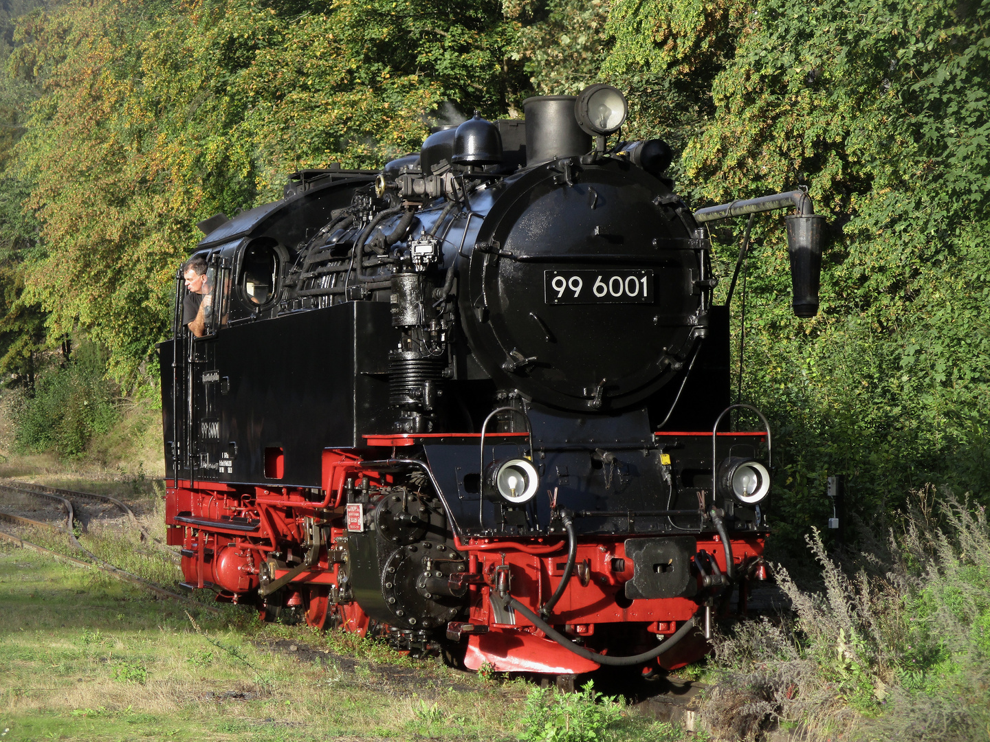 Herbstausflug mit der HSB zurück nach Nordhausen 2.