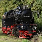 Herbstausflug mit der HSB zurück nach Nordhausen 2.