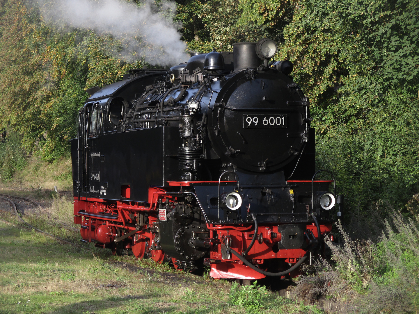 Herbstausflug mit der HSB zurück nach Nordhausen 3.