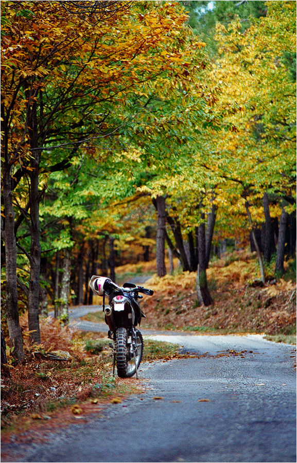 .... Herbstausflug mit der KTM .....