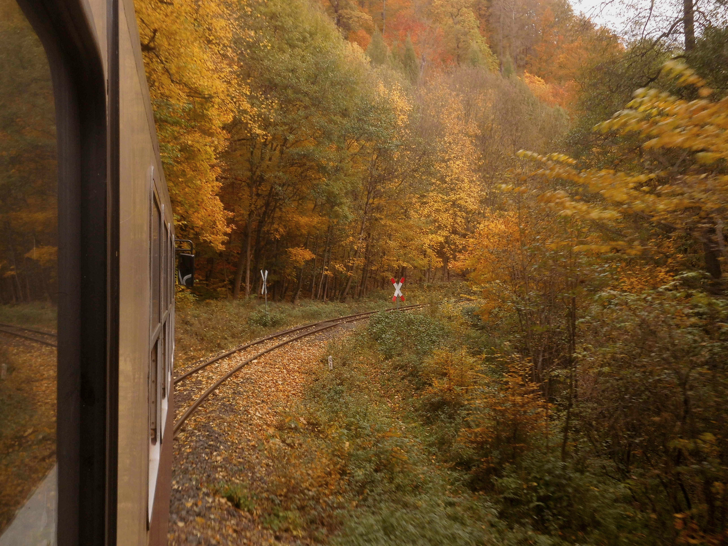 Herbstausflug mit der Selketalbahn 1.