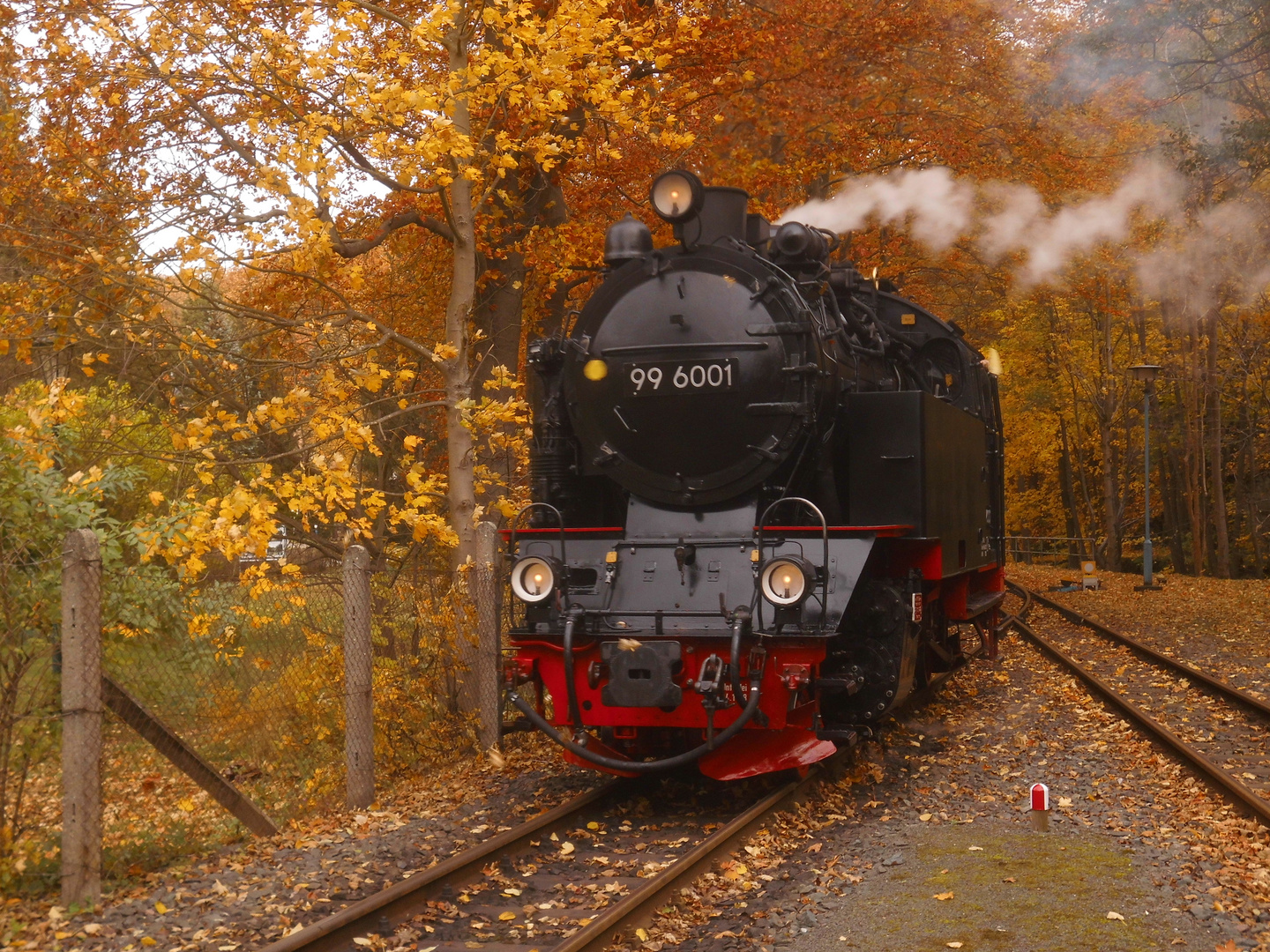 Herbstausflug mit der Selketalbahn 2.