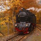 Herbstausflug mit der Selketalbahn 2.