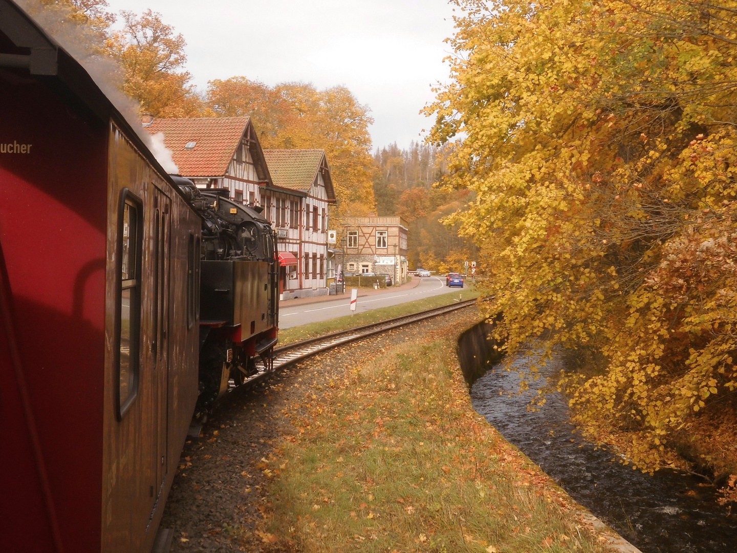 Herbstausflug mit der Selketalbahn 3.