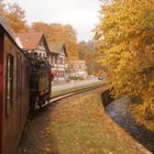 Herbstausflug mit der Selketalbahn 3.