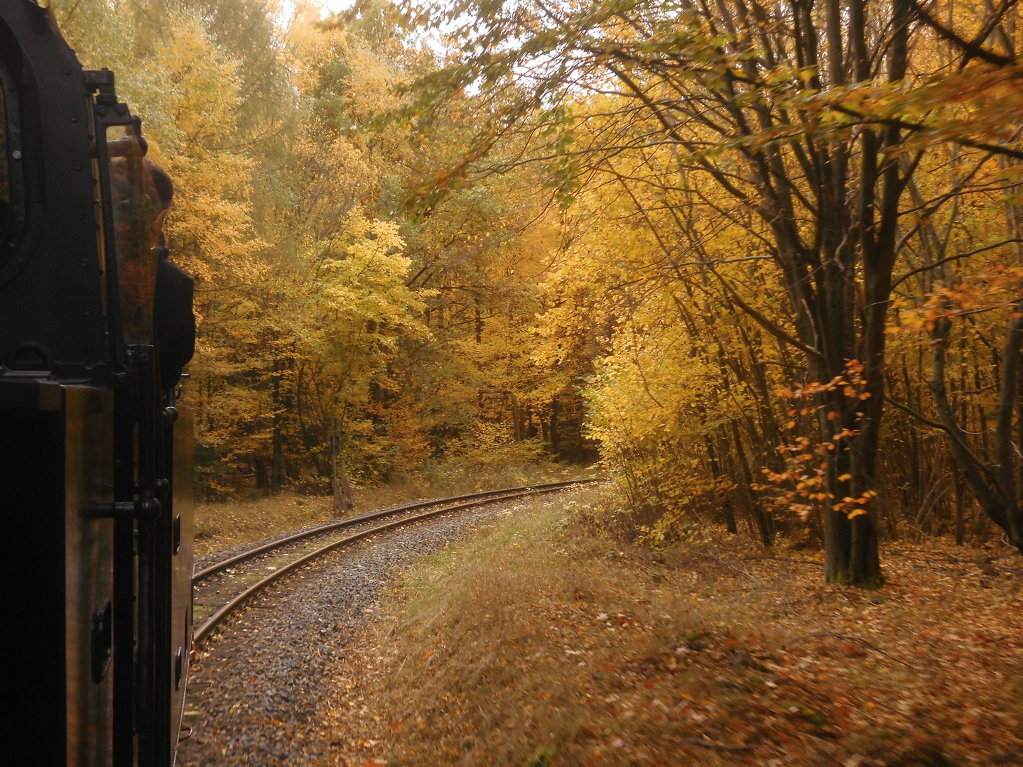 Herbstausflug mit der Selketalbahn 4.