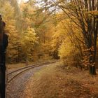 Herbstausflug mit der Selketalbahn 4.