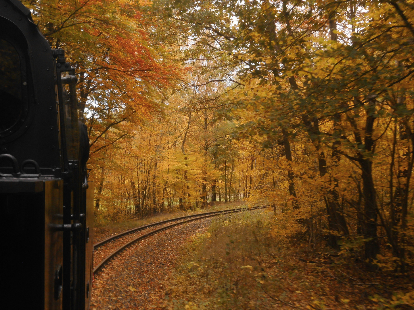 Herbstausflug mit der Selketalbahn 5.