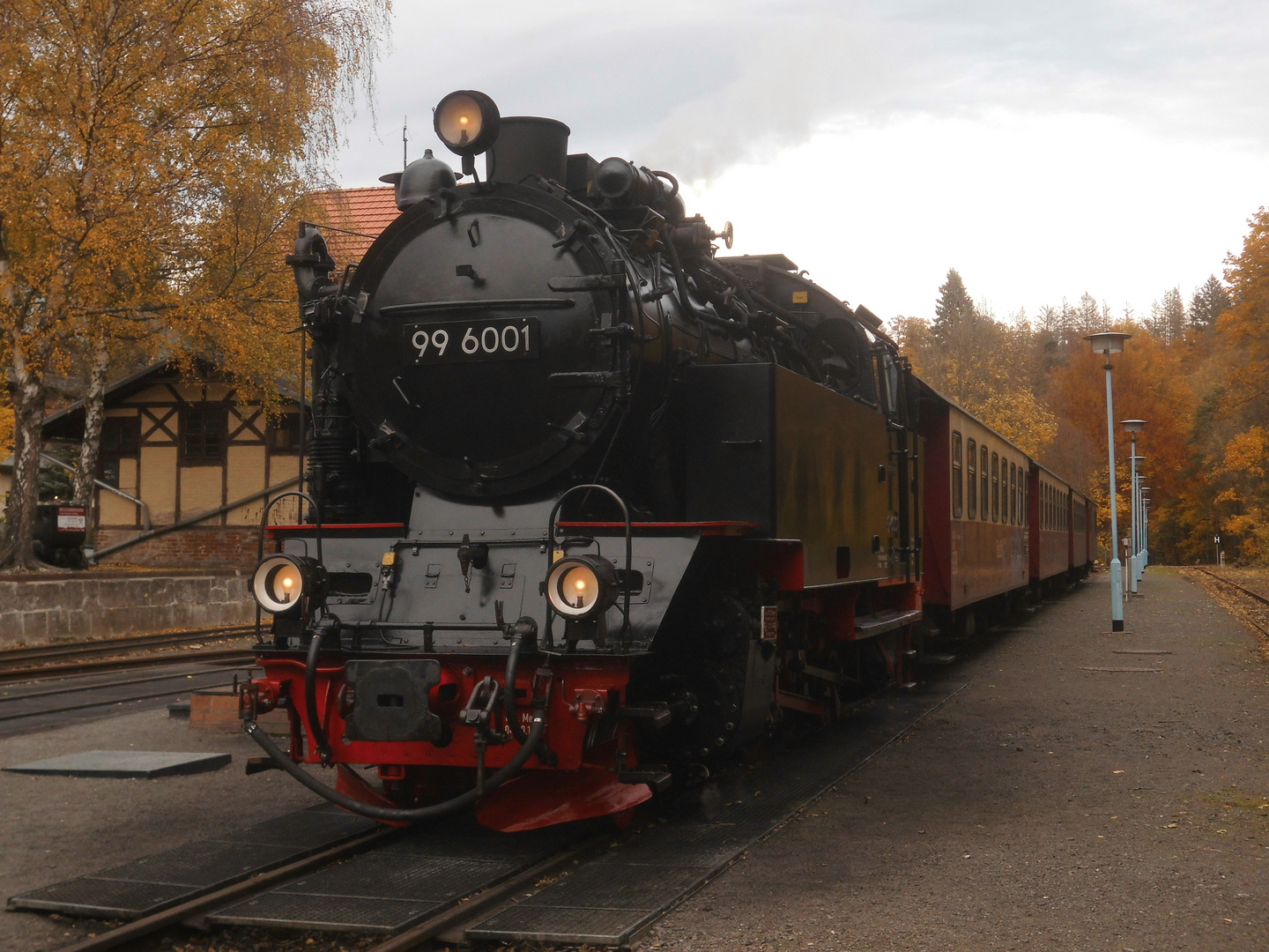 Herbstausflug mit der Selketalbahn 6.