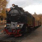 Herbstausflug mit der Selketalbahn 6.