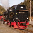 Herbstausflug nach Eisfelder Talmühle 3.